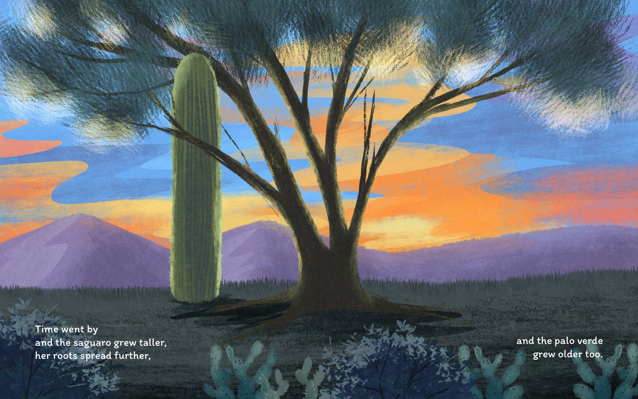 Saguaro and palo verde beneath a colorful desert sunset, with the finished text layout