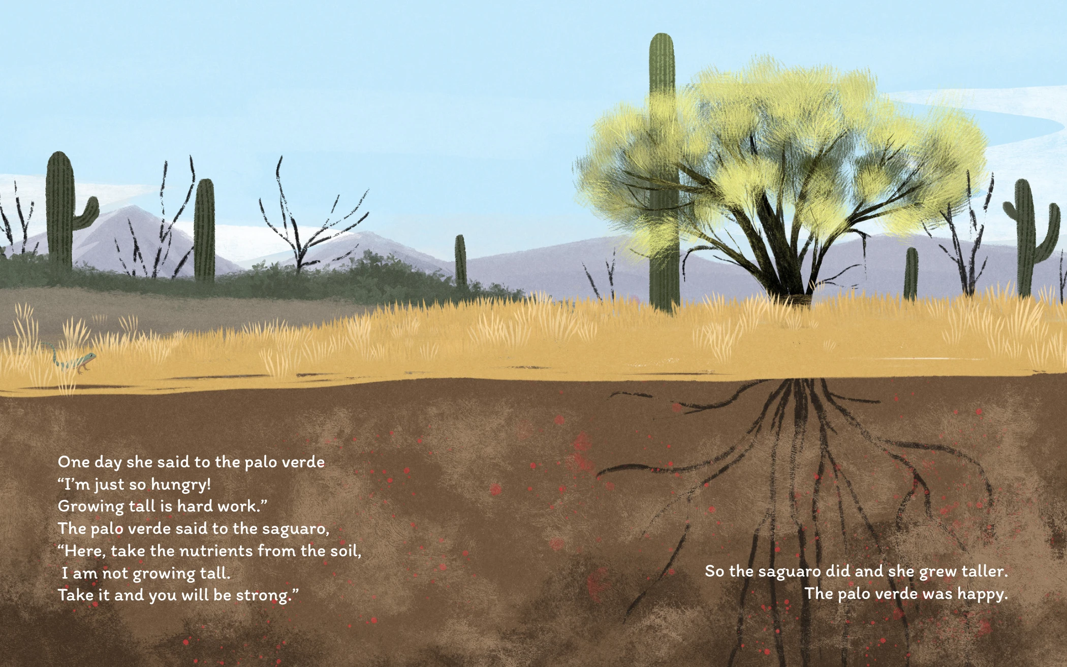 Desert landscape with a cutaway revealing the trees and cactus roots