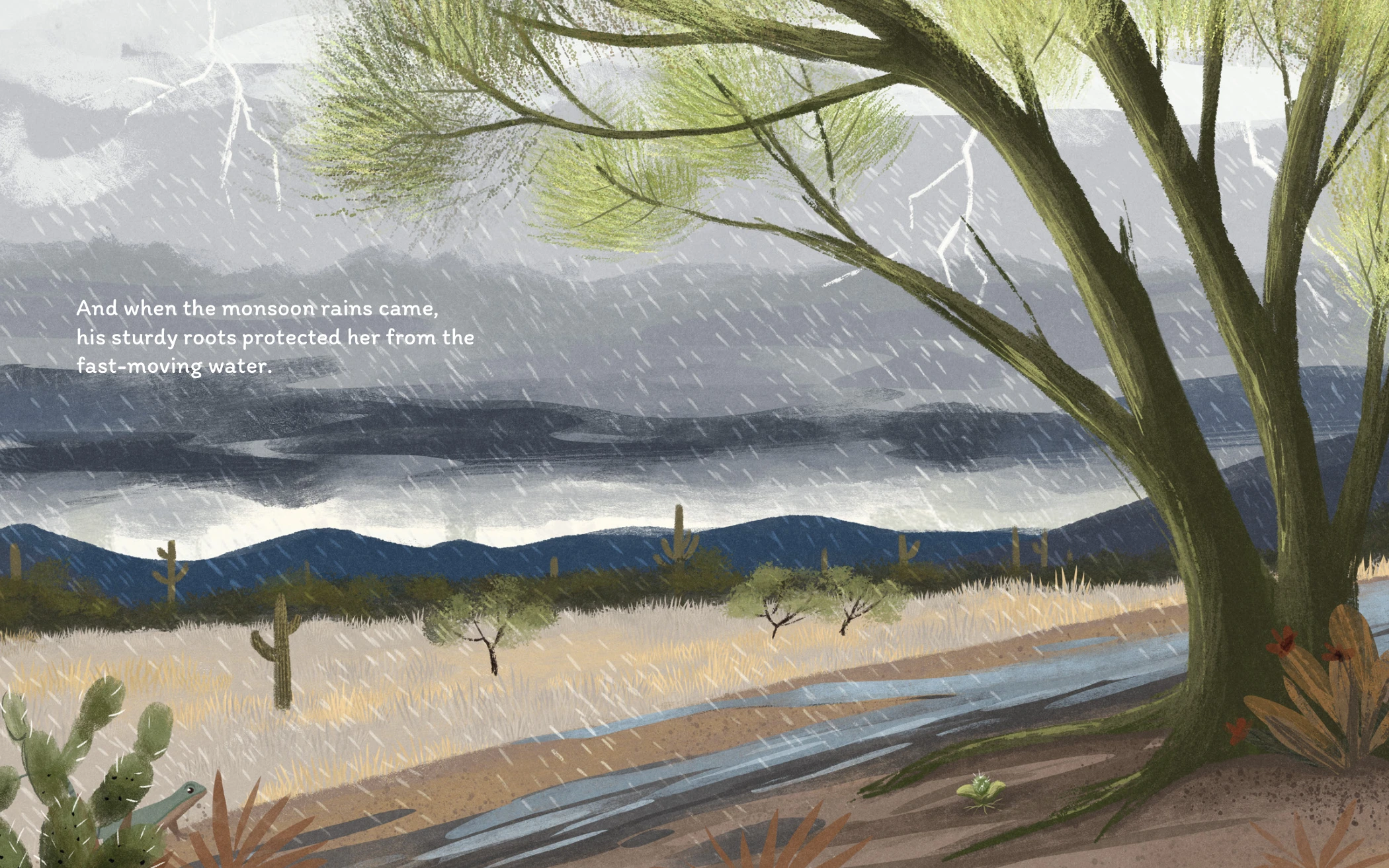 Palo verde tree sheltering the small saguaro during a monsoon storm