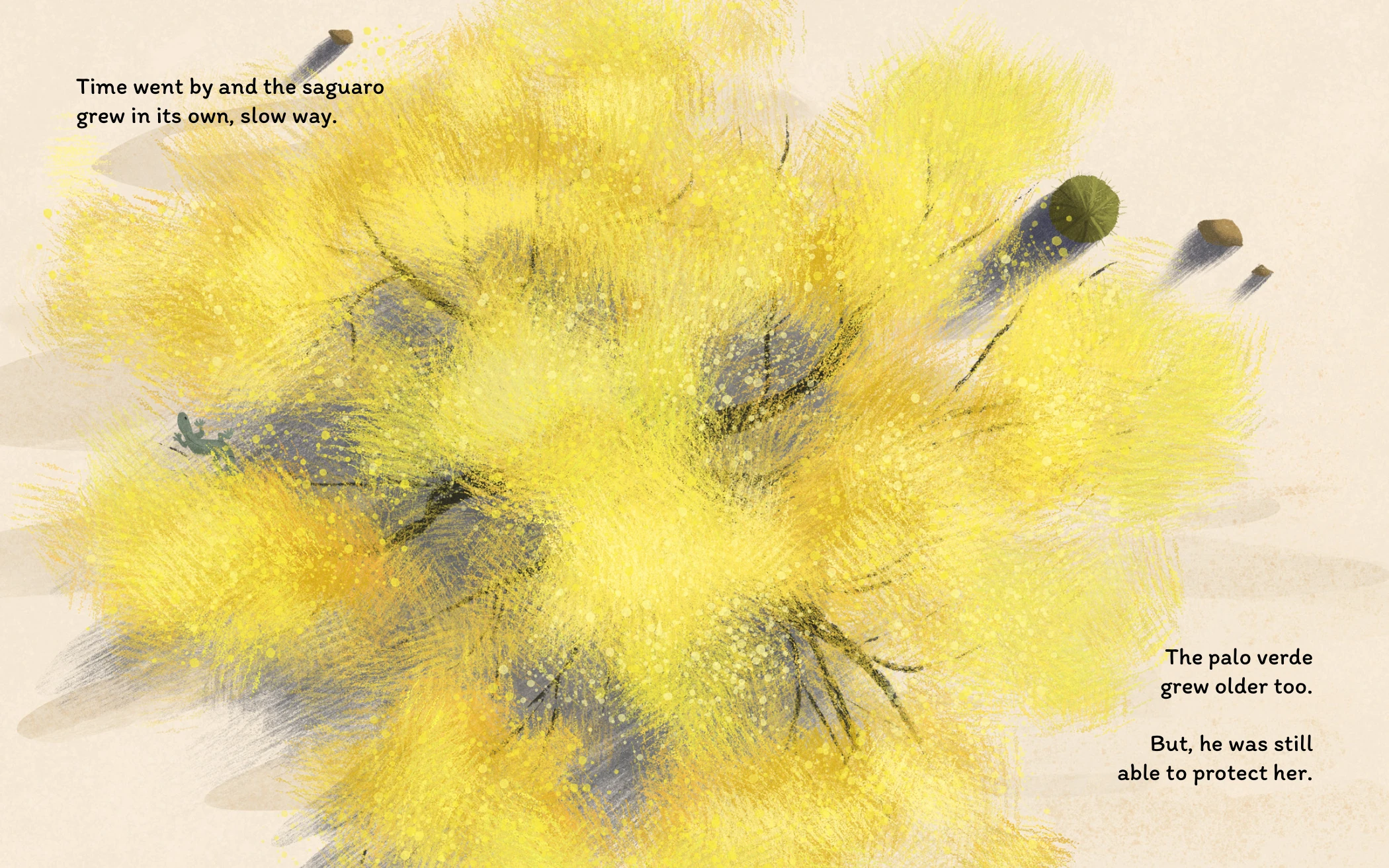 Bright yellow palo verde blossoms filling the spread